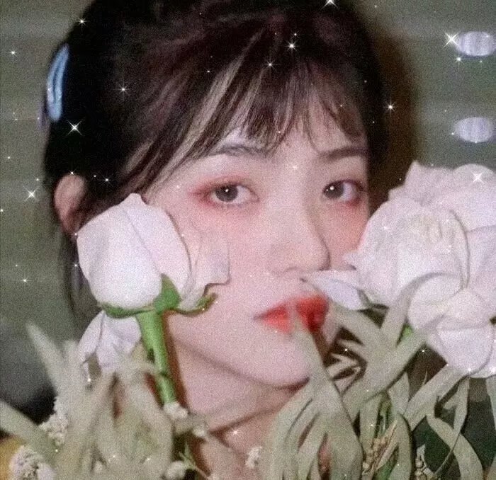 科西嘉的那个夏天